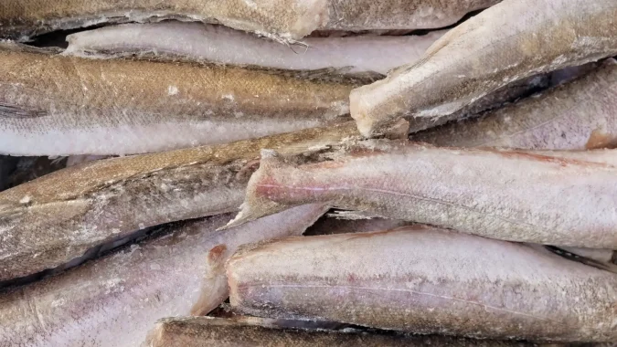 Hake HGT 300_500