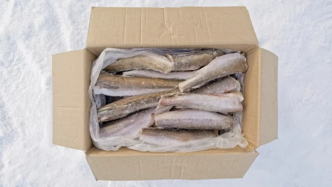 Hake HGT 300_500_1