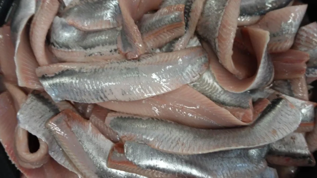 Herring Fillets 1