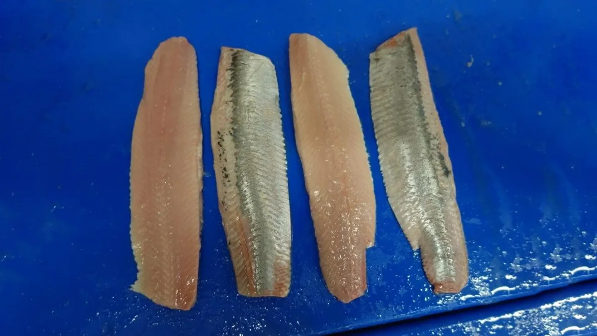 Herring Fillets 2