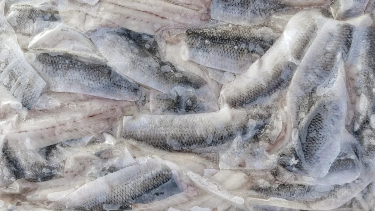 Herring Fillets 4