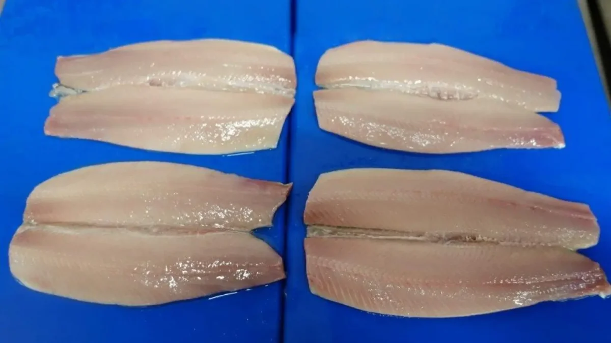 Herring Flaps 2