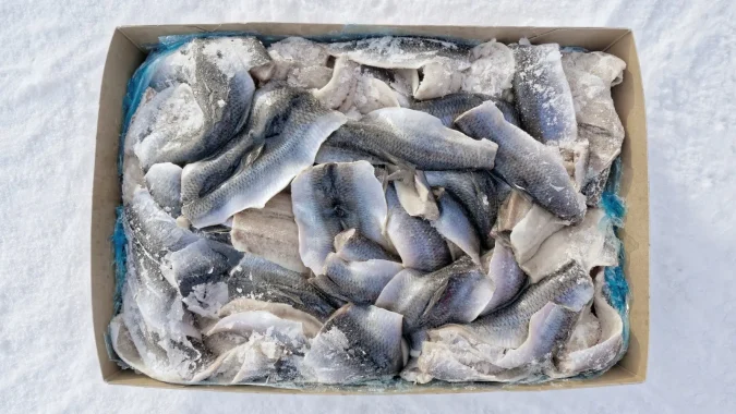Herring Flaps_1