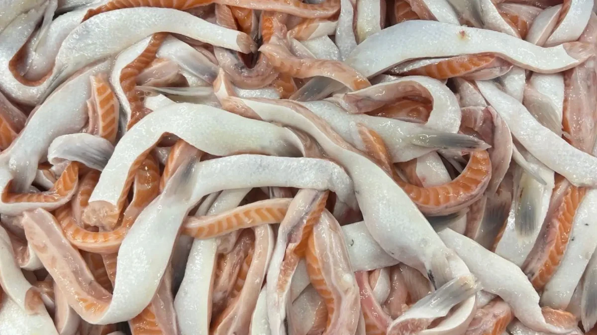 Salmon Bellies