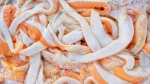 Salmon Bellies