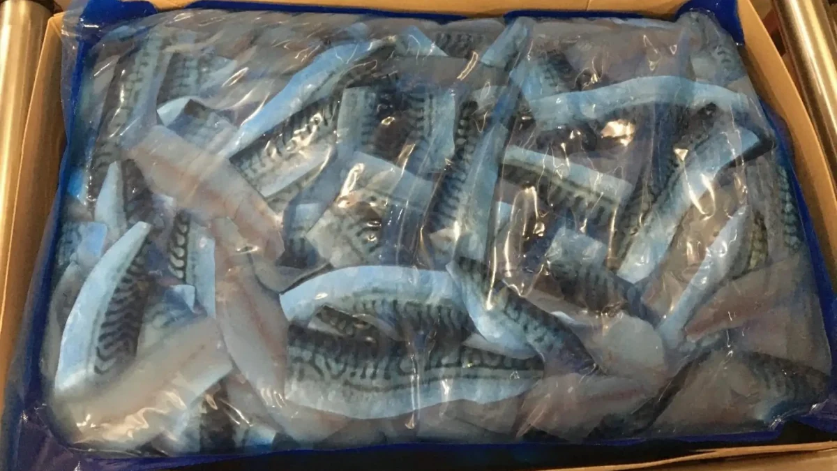 Mackerel fillets 1