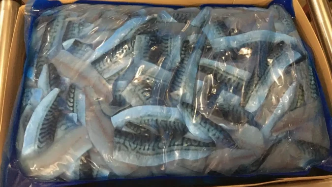 Mackerel fillets 1