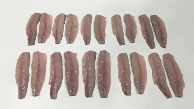 Mackerel fillets 2
