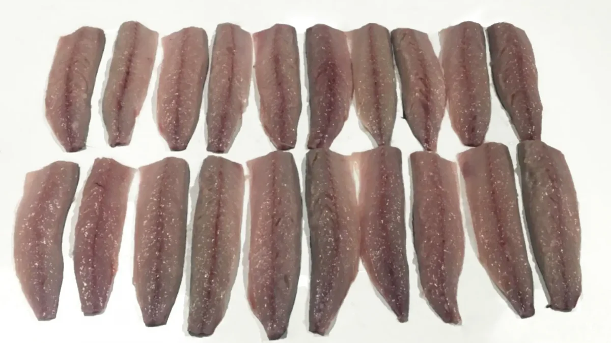 Mackerel fillets 3