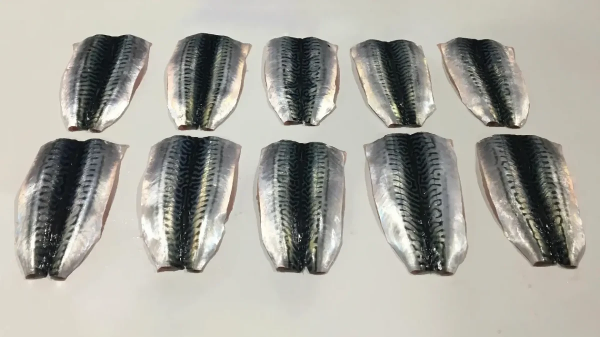 Mackerel fillets 4