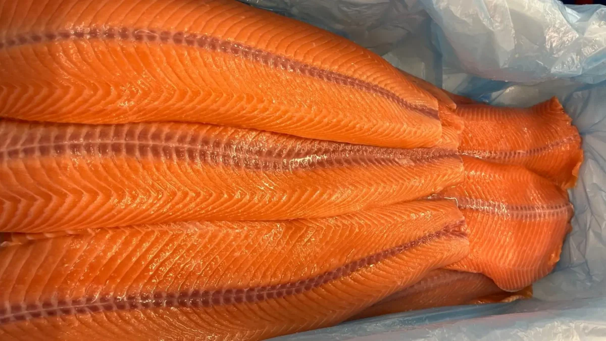 Salmon fillets