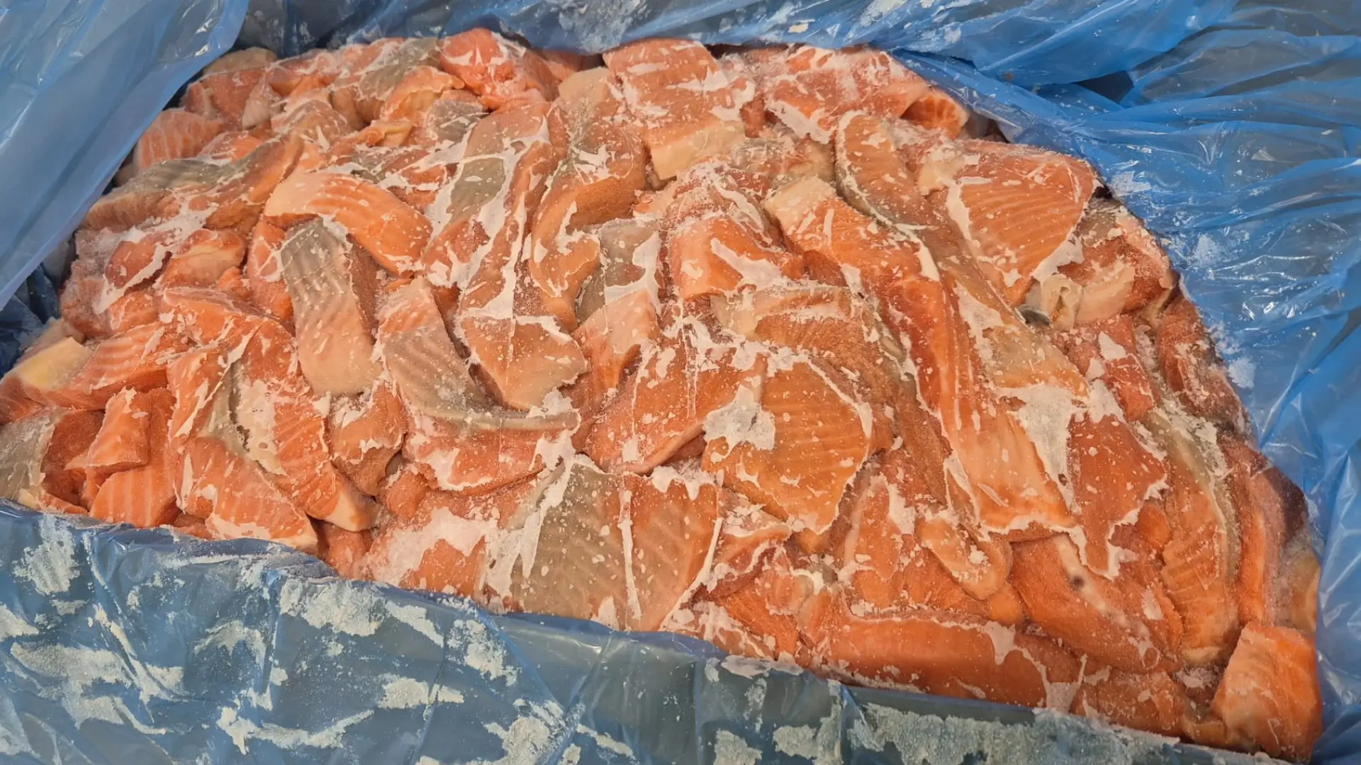 Trout bits and pieces skin off Trout bits and pieces skin off