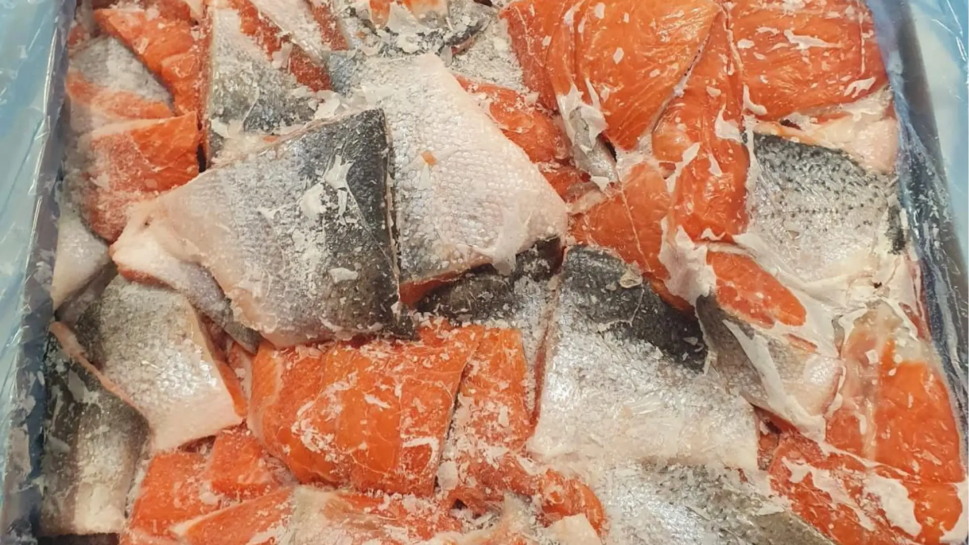 Trout bits and pieces skin on Trout bits and pieces skin on